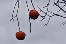 走进南紫沟图片