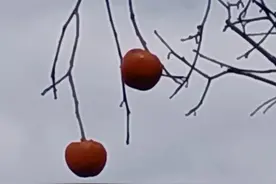 走进南紫沟图片