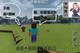 我的世界：11张只有老mc能看懂的梗图，云玩家：不就是P图嘛？图片