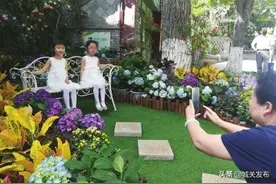 “精致兰州·魅力五泉”花卉艺术展如约而至 各种花卉争奇斗艳 尽显艺术之美图片