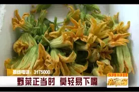 野菜正当时，莫轻易下嘴图片