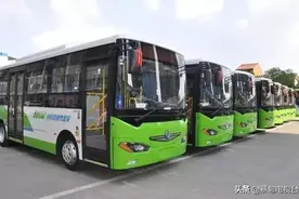 好消息！武汉蔡甸公交旅游专线上线，串起这些人气景点图片