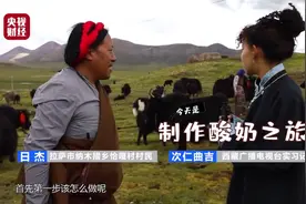 海拔4200米！藏族小姐姐体验天选牧场藏族酸奶制作全流程图片