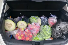 品读 | 箱子再大，也装不下爸妈的爱图片