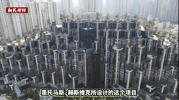 上海百元一日游？不！这是你没玩过的全新版本“苏州河49元微游”来了图片