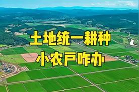 农村土地统一耕种，小农户何去何从？4个出路，已有人提前准备图片