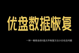 简单快速有效的U盘数据恢复方法一看就会专业恢复U盘文件数据恢复视频封面