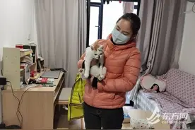 单身姑娘在上海青年公寓过年：有我的猫陪伴，很舒服图片