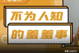 8个猫咪「性」的冷知识，务必背着主子看图片
