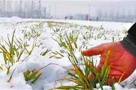 正月打雷，遍地是贼是什么意思？有科学依据吗？图片