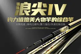8米1的鱼竿多少钱一根？有推荐吗？图片