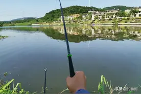 下竿便中鱼，以为刚开始实际已结束，钓鱼中的五大“未解之谜”图片