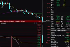 突发！非法倒卖近亿条公民信息，考拉征信被查，拉卡拉直奔跌停图片