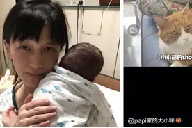 Papi酱儿子随父姓引争议：冠姓权背后的真相图片