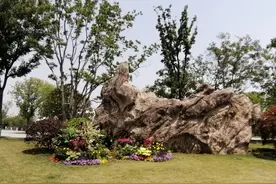 #常州随记#（十四）：徜徉常州市森林公园图片