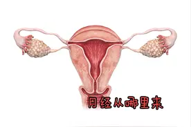 怀孕后月经去哪里了？妇产科医生为你讲述月经的来龙去脉图片
