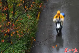 雨停了！武汉最近3天预报都没雨图片