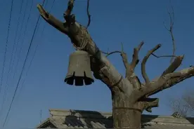 实拍地道战遗址，四通八达曲折蜿蜒，游人钻地道留影图片