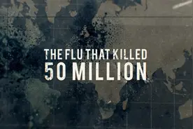 杀死过5000万人的这场流行病，也许隐藏着人类命运的答案图片