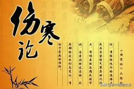 《伤寒论》条文整理——分类表格（收藏）图片