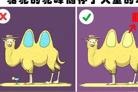 很多人错误相信的7个关于动物的有趣事实图片