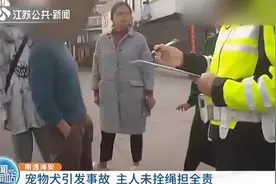 宠物狗一路飞奔撞翻电动车主 狗主人未拴绳担全责图片