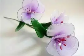 丝袜破洞千万别扔！还可以这样用图片
