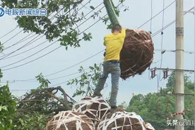 株洲云龙示范区：真心换“征心”阳光征拆跑出加速度图片