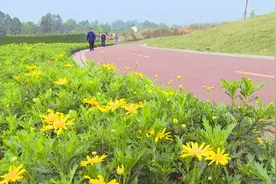 走~小编带你到自行车高速骑游踏青图片