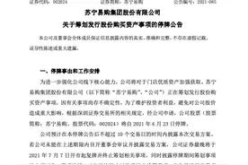 苏宁紧急辟谣后，火速官宣卖身，阿里未否认接盘图片