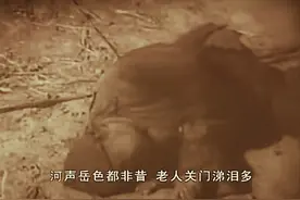 民国十八年年馑纪事•饥荒中猖獗的飞禽走兽•二图片