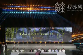 第二届运博会开幕！灯光秀影点亮无锡 在一路风景里看《运河四季》图片