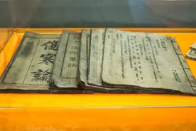 中医大家李可：中医和西医可以互补，但绝对不能结合！图片