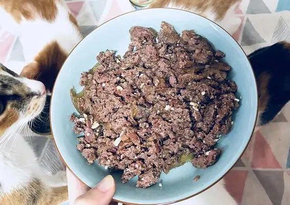 猫罐头中的瓜尔胶是什么东西 2026年猫罐头瓜尔胶对猫有害吗