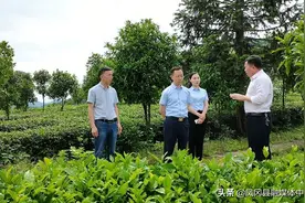 县长马华：要以“八个三”抓好农业现代化图片