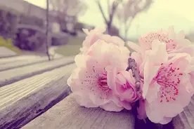 女人认定你了会有的迹象：三默许图片