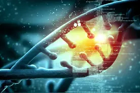 大幅延寿有望，人类基因逆转研究2023年启动，哈佛教授信心满满图片
