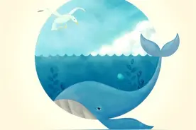 鲸落归根海，万物生于鲸!图片