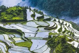 上海周边最值得去的8个梯田，惊艳了整个春天！图片