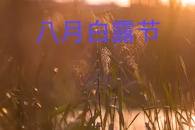 八月白露节，古人云：“白露水，恶过鬼”，白露“水”恶在哪里？图片