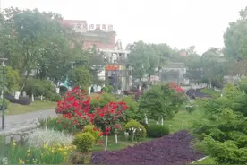 汉中湿地公园图片