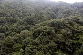真实的“哀牢山”有多凶险？图片