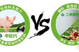 甲酸钙与二甲酸钾的相同之处图片