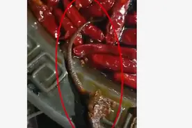 火锅捞出老鼠尾巴，重庆顾客两次索要高额赔偿，涉事店方报警处理图片