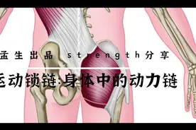运动锁链：身体中的动力链图片