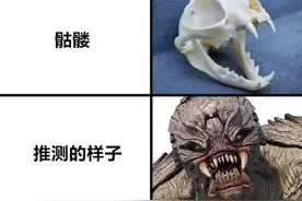 若只通过骷髅复原动物的样子 会有多大误差？图片