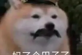 一些“凶狠”的表情包图片