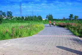 北京这个森林公园，有时还可以坐小火车游览，关键是逛公园还免费图片