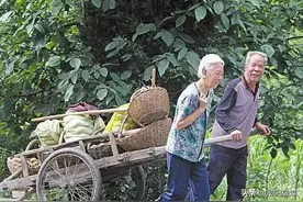 这种上世纪的运输工具，如今几乎绝迹图片