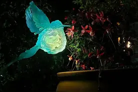 花园奇观！看歪果仁3D打印的超治愈模型图片